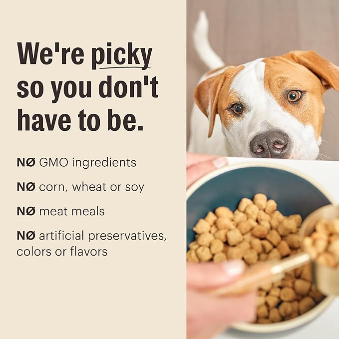 The Honest Kitchen Human Grade Whole Food Clusters Dog Grain Free Chicken 10 lb Bag