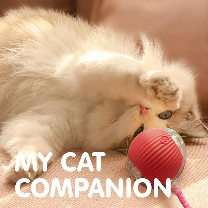 Rocfish Durable Interactive Cat Toys for Indoor Cats, Smart Automatic Cat Chase Ball Toy, Upgraded Speedy Tail Kitten Toy for Bored Indoor Adult Pets (Red)