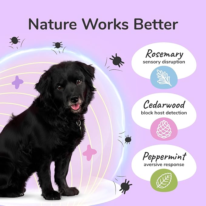 kin+kind Dog Shampoo Flea and Tick Vet Formulated - Natural Flea and Tick Prevention for Dogs - Plant Powered Shampoo w/Coconut & Olive Oil - Dog Supplies - Lavender Scent - Made in USA 12 fl oz