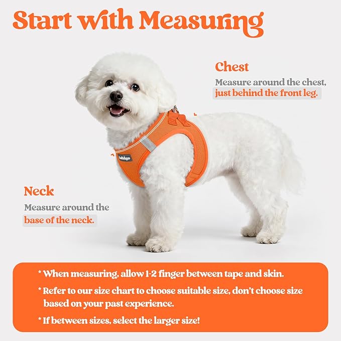 rabbitgoo Dog Harness Small Medium Sized and Leash Set, Step in Soft Light Puppy Vest, Breathable Mesh Pet Harness, Reflective for Safe Easy Walking, Orange XL