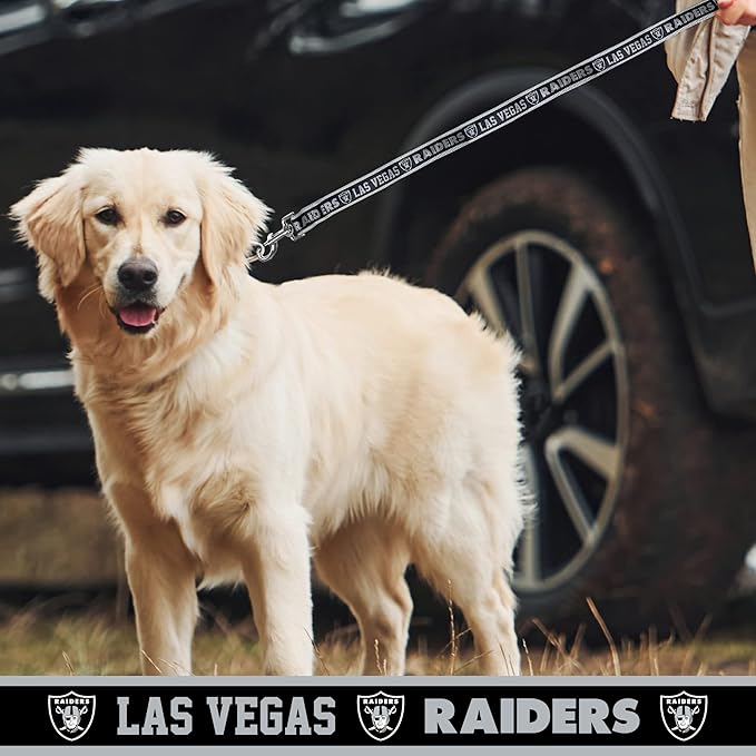 NFL PET Las Vegas Raiders Dog Leash, Medium Football Team Leash for Dogs & Cats - Shiny & Colorful, Licensed by The NFL