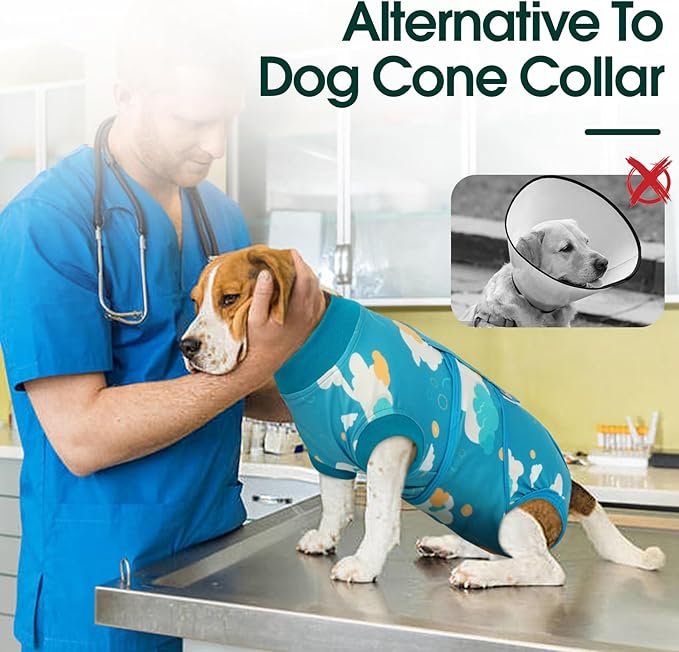 Kuoser Dog Recovery Suit After Surgery, Dog Surgery Suit Female Spay, Male Neuter, Anti-Licking Pet Onesie, Surgical Recovery Bodysuit for Abdominal Wounds,Skin Disease, E-Collar Cone Alternative, 2XL