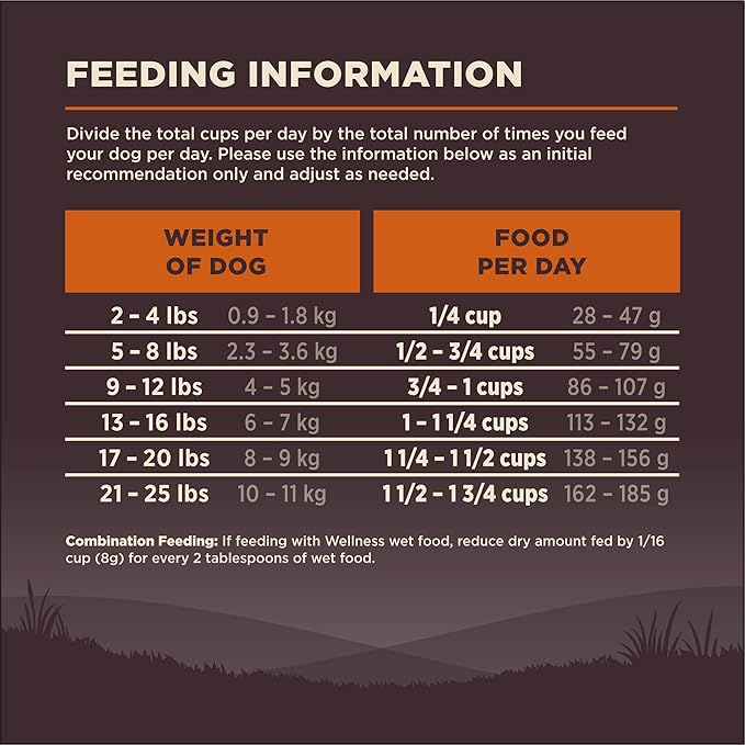 Wellness CORE Small Breed Adult Dry Dog Food, Grain Free Kibble, Natural, High Protein, Turkey and Chicken Recipe, 12 lb Bag