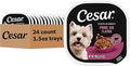 Cesar Filets in Gravy Adult Wet Dog Food Prime Rib Flavor, 3.5 oz. Easy Peel Dog Food Tray, 24 Count (Pack of 1)
