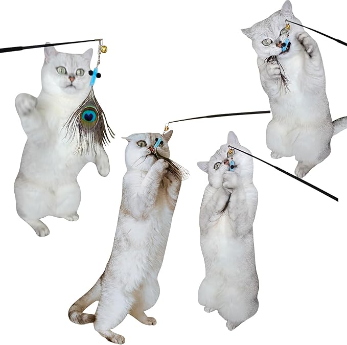 Interactive Cat Toys - 10 PCS Cat Retractable Wand Toy and Feather Toys Refills, Enrichment Toys for Indoor Cats,Kitty Toys on a Stick,Kitten Toy Small Feather Insects