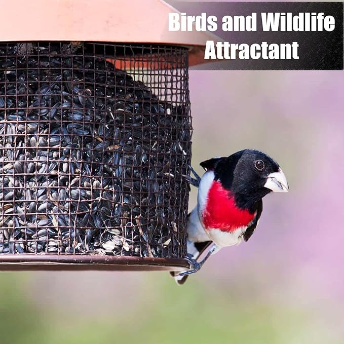 Old Potters Wildlife Black Oil Sunflower Seeds for Birds and Wildlife, Non-GMO & USA Grown on Small Farms (6 lbs)