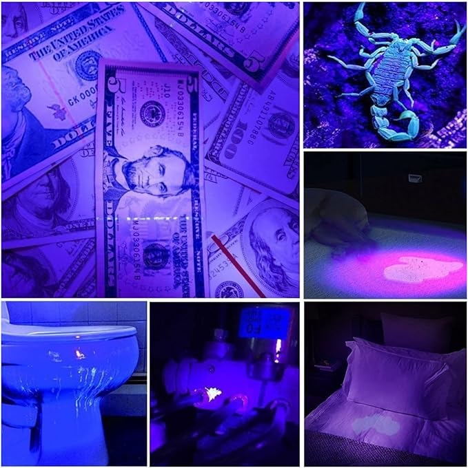 FTVOGUE Flashlight LED Black Light for Pet Urine Detection, Mineral Solidified