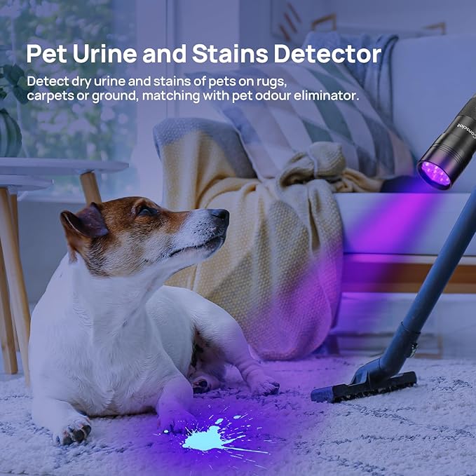 2 Pack UV Flashlight Black Light, Consciot 12 LED 395nm Ultraviolet Blacklight, Portable Mini Torch Light Pet Urine Detector for Dog/Cat Urine, Dry Stains, Bed Bug, Matching with Pet Odor Eliminator