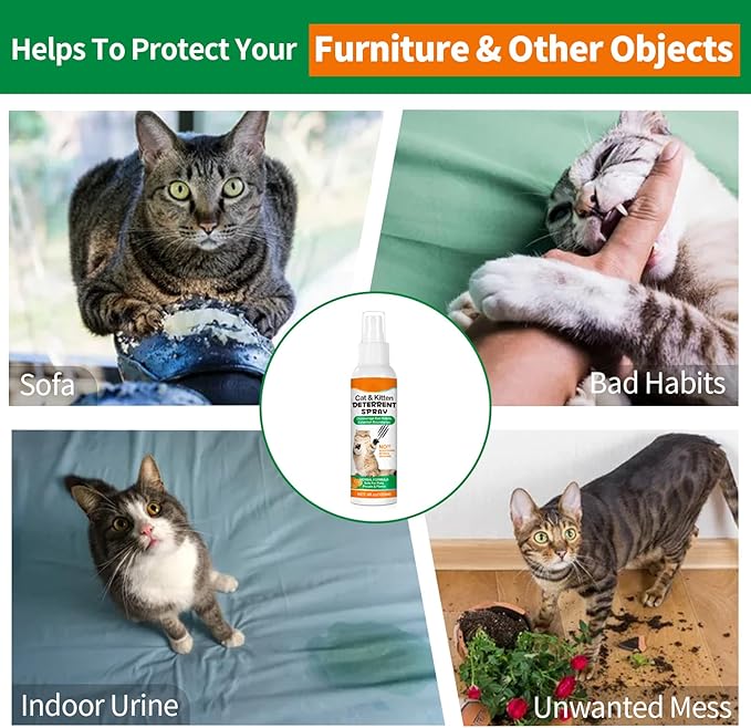 Cat Deterrent Spray for Indoor & Outdoor - Natural Repellent to Prevent Scratching & Urine Marking on Furniture, Sofas, Rugs, Curtains - Safe Cat Behavior Training Aid with Natural Ingredients 4 fl oz