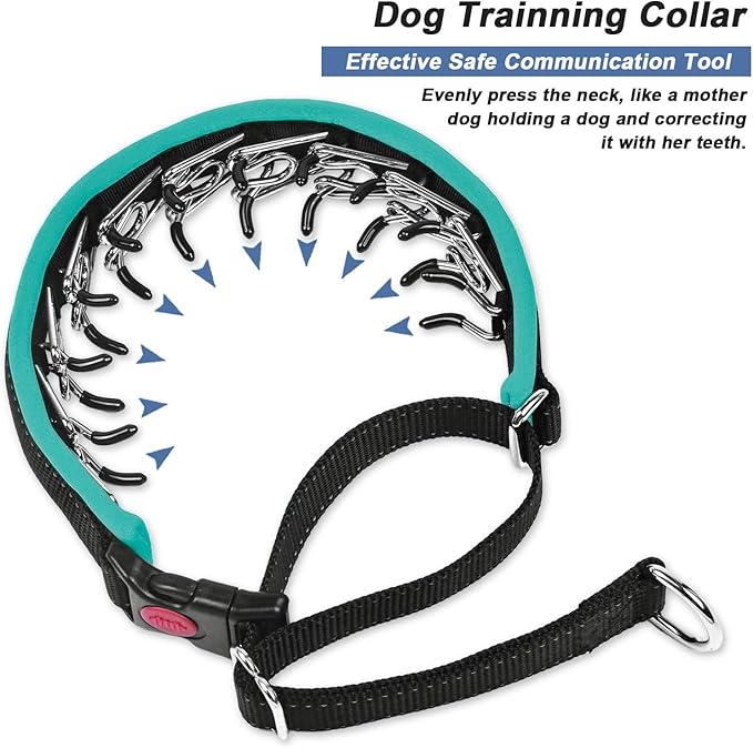 Martingale Collar - Hidden No Pull Dog Collar with Buckle, Reflective Nylon Adjustable Limited Slip Collar for Large, Medium, Small Dogs - Anti Pull Training Walking S Green
