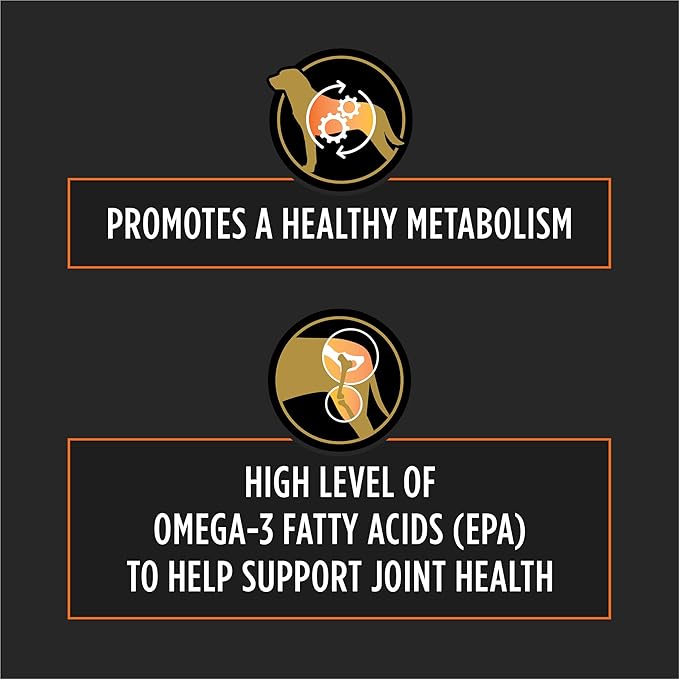 Pro Plan Veterinary Diets Purina OM Metabolic Response Plus Joint Mobility Dry Dog Food - 15 lb. Bag