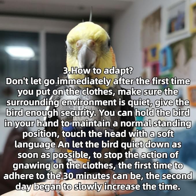 Bird Diaper Protective Parrot Nappy - 4 Pack, Reusable Flight Suit with Waterproof Inner Layer, Adjustable Shoulder Straps, Washable Cute Urine Wet Suit for Parakeet Conure (S)
