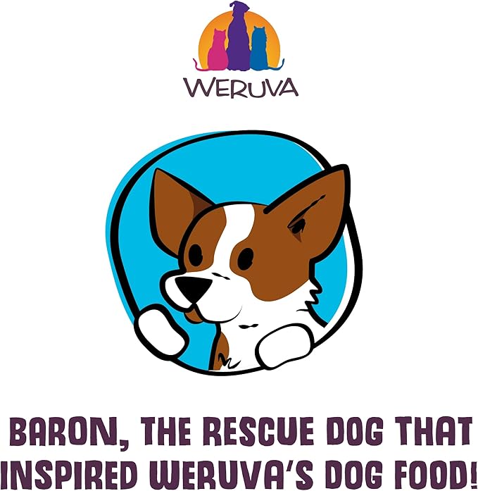 Weruva Classic Dog Food, Amazon Livin' with Chicken Breast & Chicken Liver in Pumpkin Soup, 14oz Can (Pack of 12)