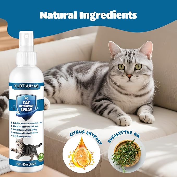 Cat Deterrent Spray - Indoor & Outdoor Cat Repellent, Stops Cats from Scratching Furniture, Carpets, Sofas, Curtains and Urine Marking - Effective Anti-Scratch Training Aid (Blue)