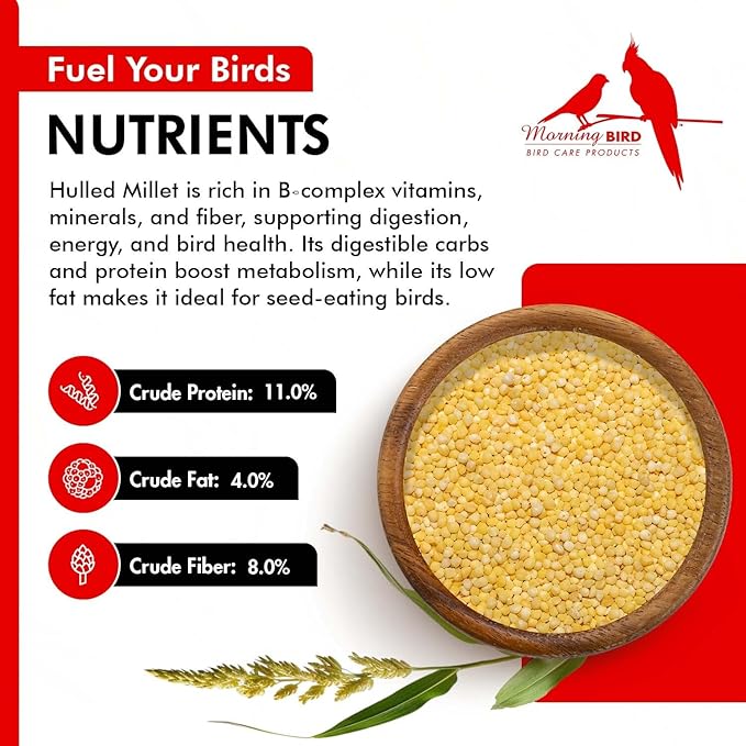 Morning Bird Hulled Millet 4.5 lbs (3-Pack, 1.5 lbs Each) – Nutritious Hulled Millet Seed - Easily Digestible with High Fiber, Rich in Vitamins & Minerals for Birds, Ideal Bird Feed for All Bird Types