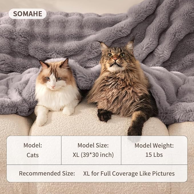 Self-Warming Cat Blanket, Dual-Side Plush Sherpa Throw with Anti-Static, Snuggle Mat for Kittens & Cats, Cozy Bed Topper for Windowsills & Couches, Machine Washable & Dryable, 21x18 Inch Gray