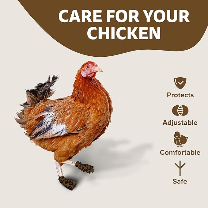 Chicken Shoes for Injured Feet – Protective Neoprene Footwear for Chicken, Open-Toe Design for Bumblefoot Relief, Made in USA (Chicken Shoes, Royal Blue, Medium Chickens)