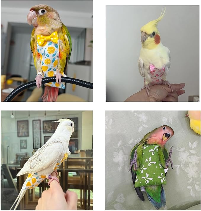 Bird Diaper Flight Suit, 3-Packs Lightweight Reusable Washable Elastic-Straps Parrot Clothes for Peony/Monk Parakeet, Prevents Poop Leaks & Feather Pecking (Bow+Lemon+Cherry, M)