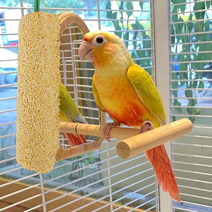 Cockatiel Treat - | 2 Pieces Bird Snacks | Pet Bird Treat Sticks | Cockatiel Treats, Pet BirdTreat Sticks Training Food Rewards Chewing Foraging Snacks for Myna Parakeet Finch Conure Parrot