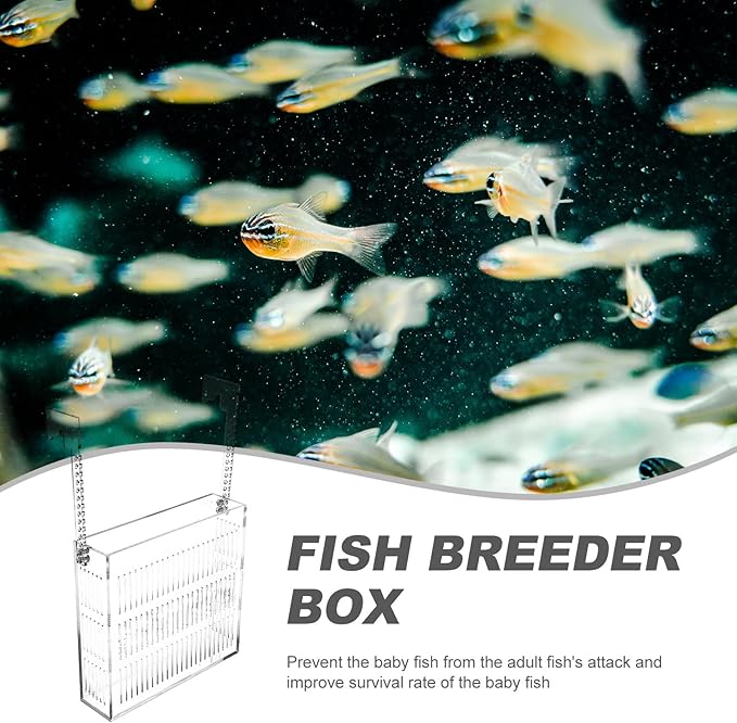 Fish Breeding Box Acrylic Incubator Tank with Hanging Design, Medium Aquarium Nursery for Fry and Guppy Fry Isolation in Home Aquariums