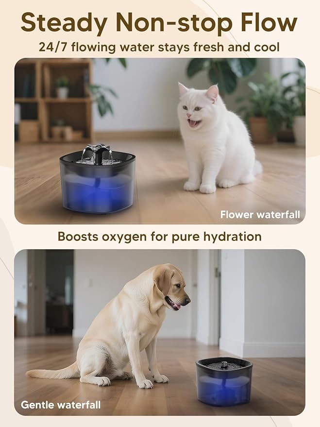 Automatic Cat Feeder and Water Fountain, 4L/16Cups Pet Dry Food Dispenser 2L Water Dispenser, Locking Lid, Programmable Timer 6 Daily Meals, 10s Voice Recorder, Cat Accessories for Puppy Kitten