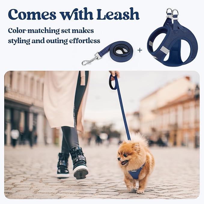 rabbitgoo Dog Harness Small Sized and Leash Set, Step in Soft Light Puppy Vest, Breathable Mesh Pet Harness, Reflective for Safe Outdoor Walking, Navy Blue S