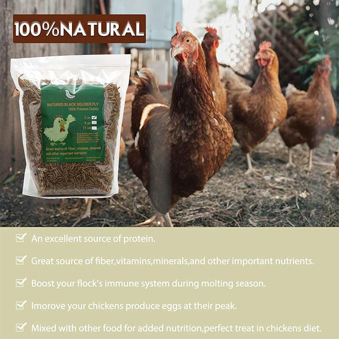 Black Soldier Fly Larvaeis,10LB 100% Natural Large Size No Moisture,Mealworm for Birds Chickens Hedgehog Hamster Fish Reptile Turtles