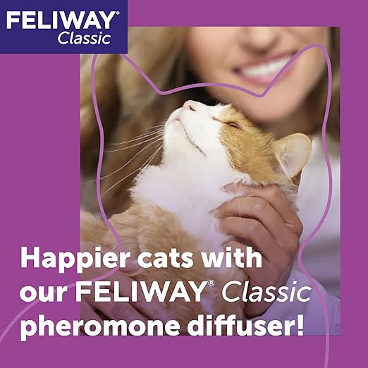 FELIWAY Classic 30 Day Cat Calming Plug In Pheromone Diffuser Starter Kit, 48ml - Helps Reduce Common Signs of Stress in Cats & Kittens, Enhanced Calming