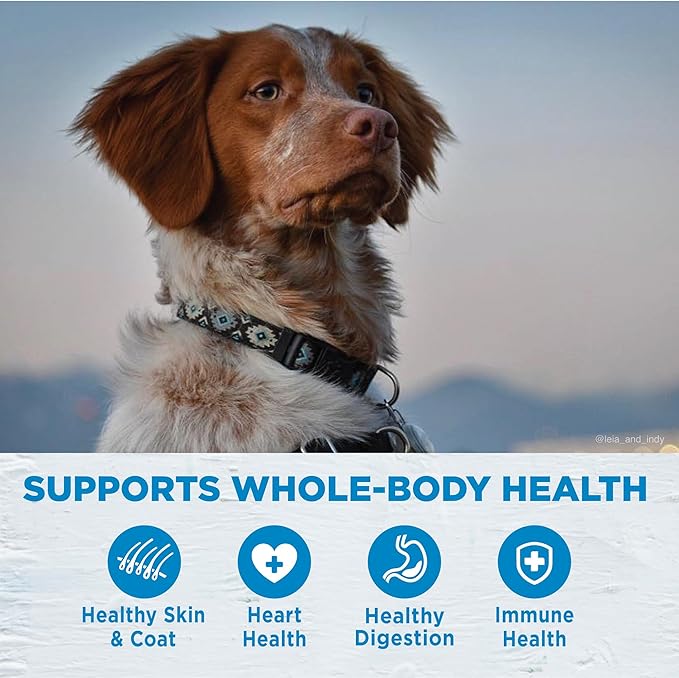 Wellness Simple Limited Ingredient Adult Dry Dog Food, Grain Free Kibble, Sensitive Stomach, Skin & Coat Support, Natural, Chicken Free, Salmon and Potato Recipe, 40 lb Bag