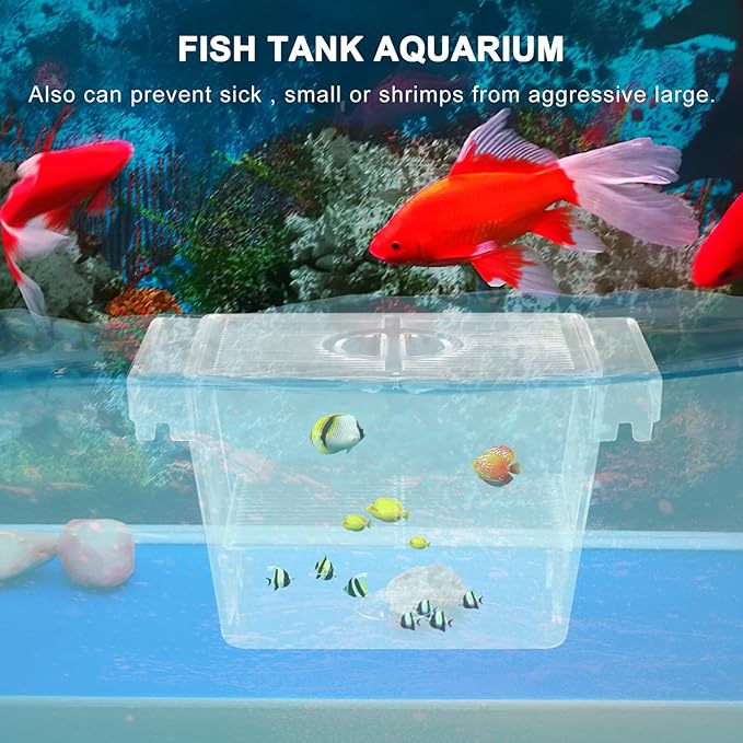 Fish Incubator Box with Divider Aquarium Breeding Hatchery for Betta Isolation, Aquarium Overflow and Nursery Box for Fish in Home Tanks