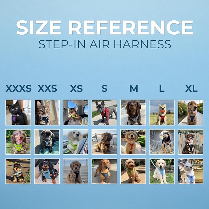 Best Pet Supplies Voyager Step-in Air Harness - All Weather Mesh, Reflective, No Pull Harness for Dogs, Cats - Secure with Hook & Loop Fastener, Buckle, Double D-Rings - Gray 2-Tone, L