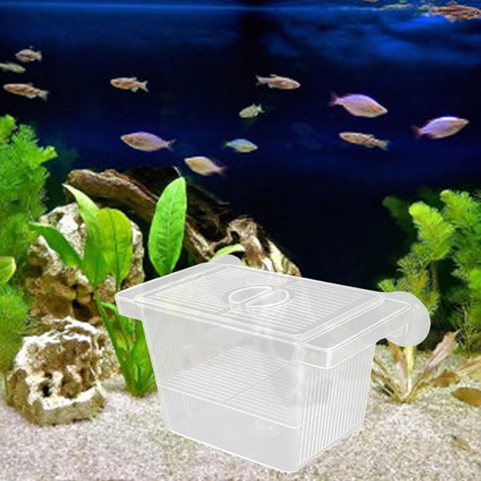 Multiuse Fish Isolation Container Breeding Incubator with Suction Cup 2 Dividers for Aggressive Newborns 2PCS Breeding Tanks
