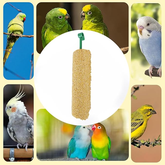 Bird Treat Sticks - Natural Foraging Snacks for Parakeets, Conures, Small Birds with Chewing and Training Benefits | 2-Piece Reward Food for Myna, Finch, Parrot, Fun and Healthy Bird Care