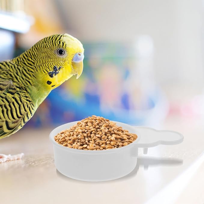 BESTonZON 2pcs Bird Feeder and Water Dispenser Cups for Cage Small Parakeet Food and Water Feeding Bowls Plastic Bird Feeding Watering Supplies for Small