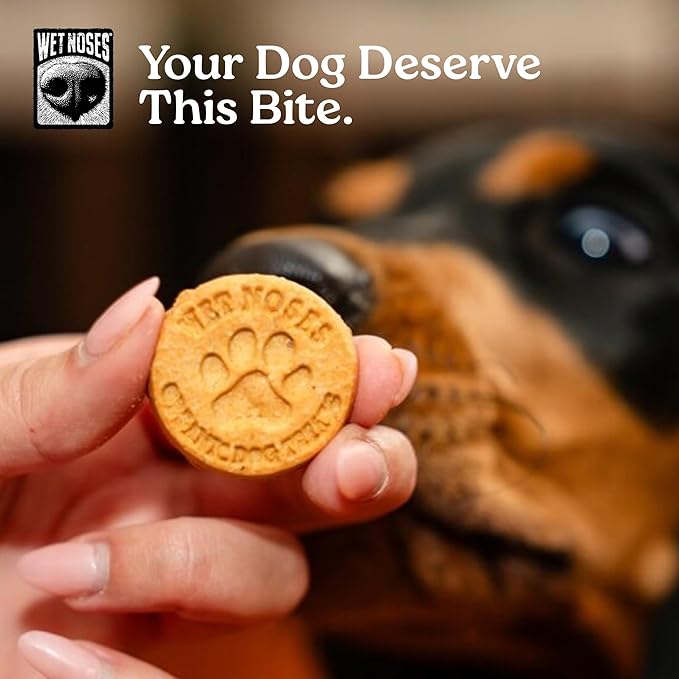 Wet Noses Organic Crunchy Dog Treats – All-Natural, Human-Grade, Non-GMO, Healthy Training & Delicious Snacks for Dogs, for All Dog Sizes & Breeds – Grain Free Peanut Butter & Molasses, 14oz (2 Pack)