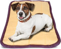 Jeffers Pet Comfort Dog Pillow, Tiny 12" x 18", Tan – Machine Washable Dog Bed for House, Sofa, Crate & Travel – Poly Cotton Shell, Winter Warmth, Soft, Comfy, Durable, Top Pet Bedding