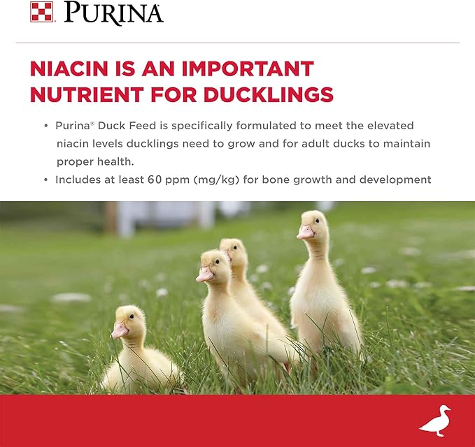 Purina Duck Feed for All Life-Stages | 40 Pound (40 lb.) Bag