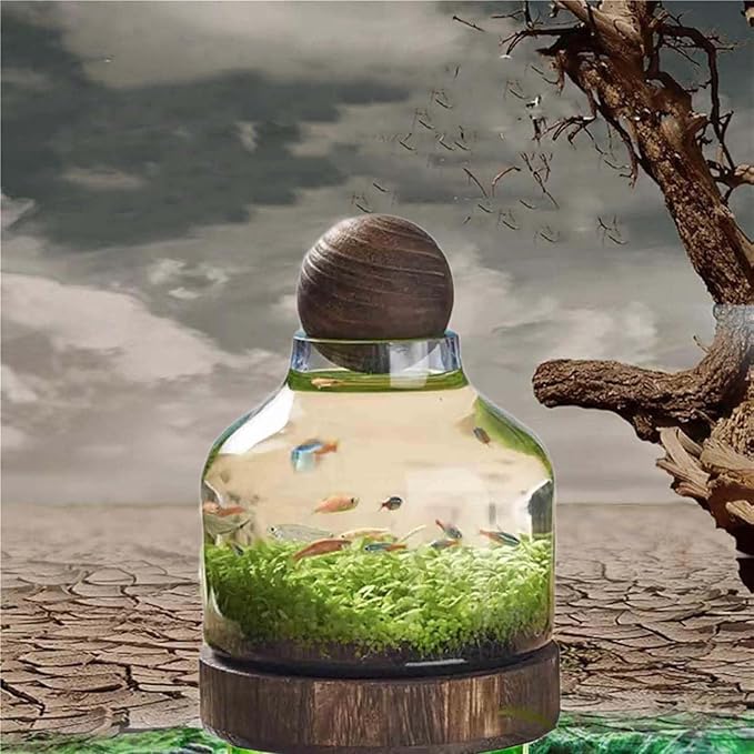 Ecological Aquarium Glass Fish Tank with Wooden Base Micro Landscape Self-circulating Hydroponic Plant Bottle Fish Bowl/Vase(S, A)