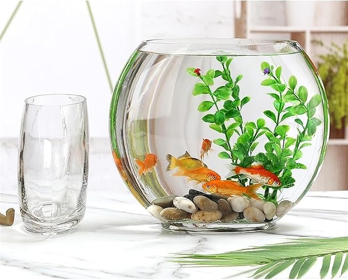 Aquariums Fish Bowl Creative Oval Glass Small Goldfish Fish Tank Home Desktop Decoration Transparent Glass Fish Tank Fish Tanks(Medium)