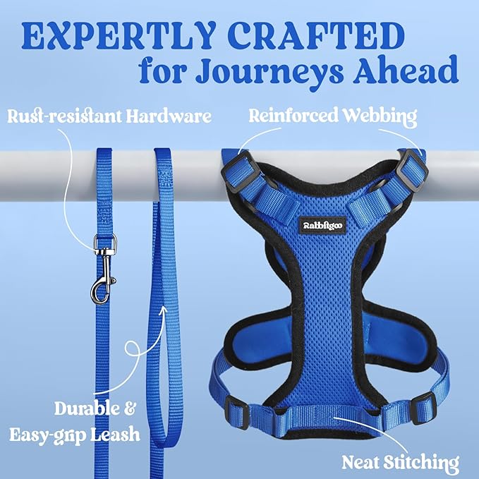 rabbitgoo Cat Harness and Leash for Walking, Escape Proof Soft Adjustable Vest Harnesses for Cats, Easy Control Breathable Reflective Strips Jacket, Navy Blue, S