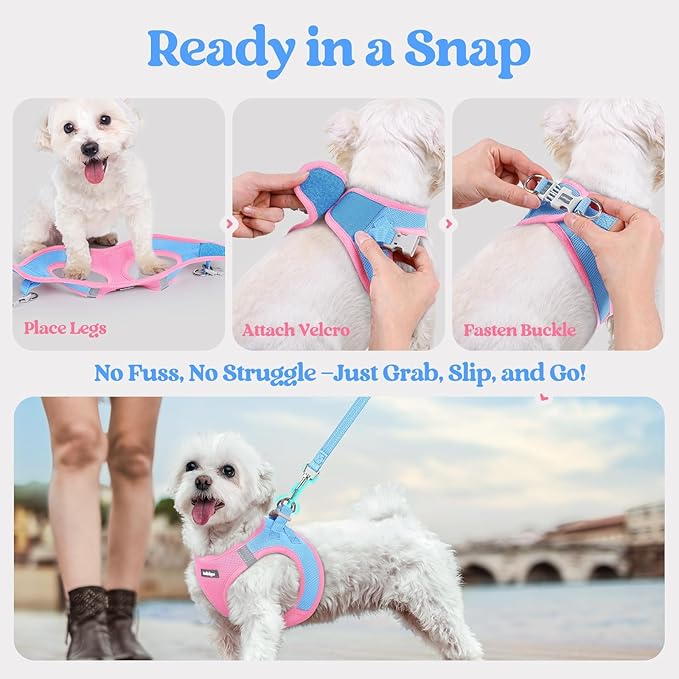 rabbitgoo Dog Harness Small Sized and Leash Set, Step in Soft Light Puppy Vest, Breathable Mesh Pet Harness, Reflective for Safe Easy Walking, Blue & Light Pink XXS
