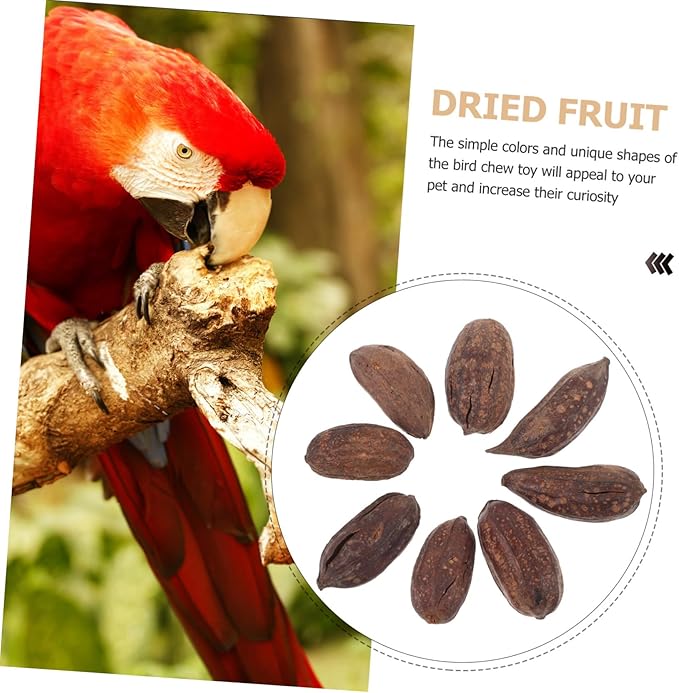 Totority 8pcs Natural Dried Fruit Bird Chewing Toys for Parakeets Cockatiels Healthy Shredding Toys to Reduce Boredom Furniture Fun Parrot Teething Accessories