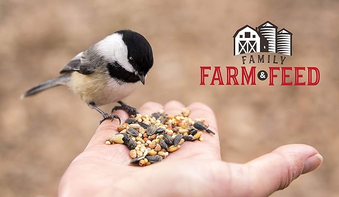 | Four Season | Country Mix | Classic Wild Bird Food | Backyard Songbird| 4 Pounds