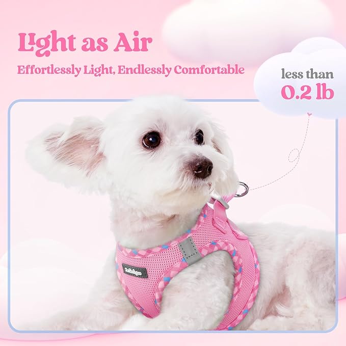 rabbitgoo Dog Harness Small Sized and Leash Set, Step in Soft Light Puppy Vest, Breathable Mesh Pet Harness, Reflective for Safe Easy Walking, Pink & Plaid Trim XXS