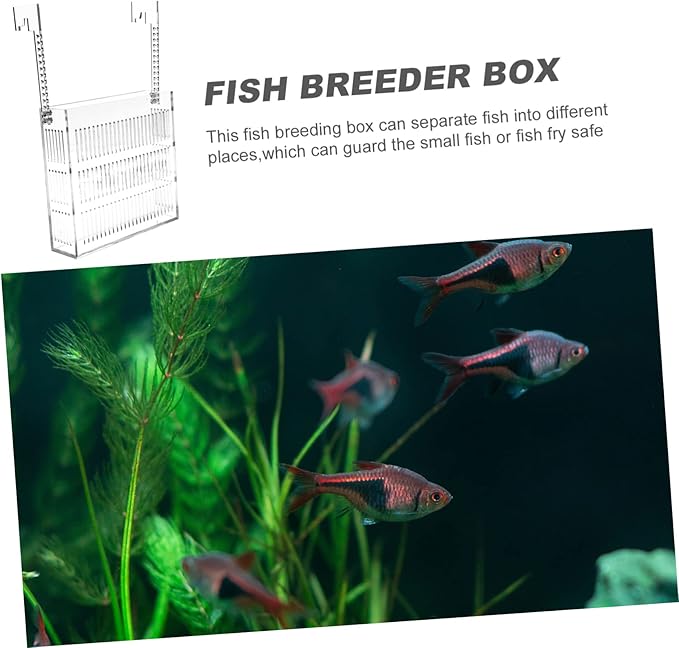 ERINGOGO Hanging Isolation Box for Guppy Breeding Acrylic Fish Tank Hatchery Easy Installation Hook Observation Design for Betta and Mini Parrot Fish