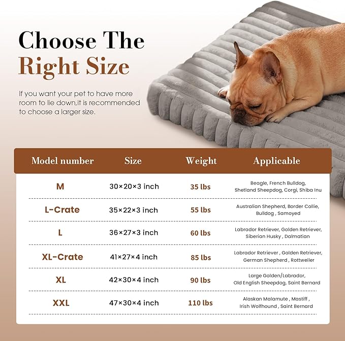 Orthopedic Dog Bed Medium Size Dog, Pet Beds with Waterproof Lining, Soft Short Plush Surface & Egg Crate Foam, Machine Washable Pet Mat with Removable Cover & Anti Slip Bottom