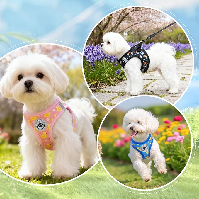 BEAUTYZOO Dog Harness Medium Sized and Leash Set, Step-in Soft Padded Mesh Puppy Vest, Reflective Dog Harness No Pull No Choke, Breathable Easy Walking Vest Harnesses for Girl Boy Pets,Pink Ducks M