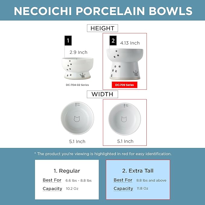 Necoichi Elevated Cat Water Bowl – Ceramic Raised Cat Bowl, Prevents Neck & Whisker Fatigue – Dishwasher & Microwave Safe – Pet Water Bowl for Cats (Sakura Floral, Extra Tall)