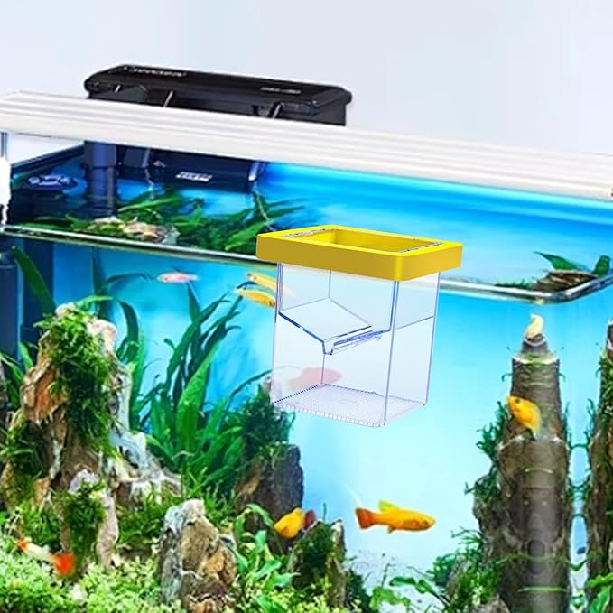 Generic Aquarium Breeder Box Hatchery Floating Acrylic Isolation Incubation Box for Baby Fish, Clownfish, Betta Eggs