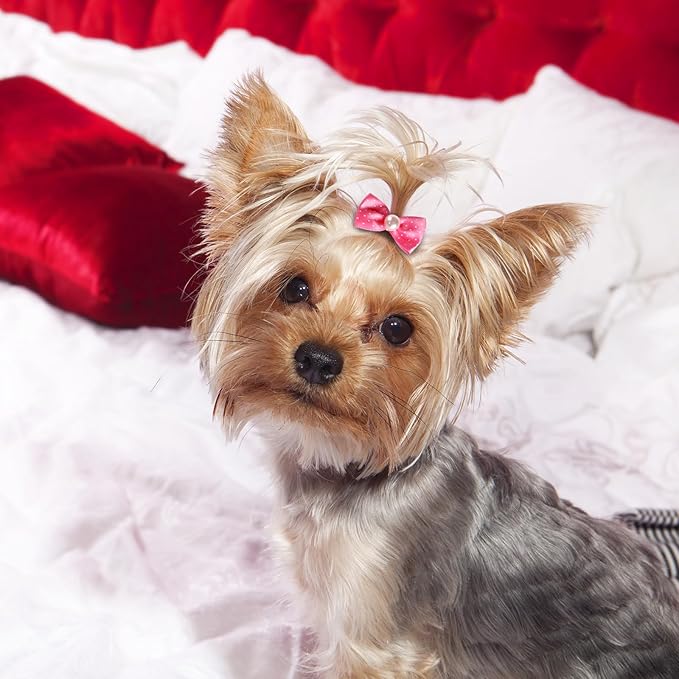 Janinka 40 Pieces Dog Bows Cute Dog Hair Bows for Puppy Hair Bowknot with Rubber Bands Lace Organza Rhinestone Pearls Multicolor Pet Grooming Accessories
